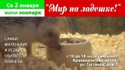 Мини-зоопарк «Мир на ладошке»