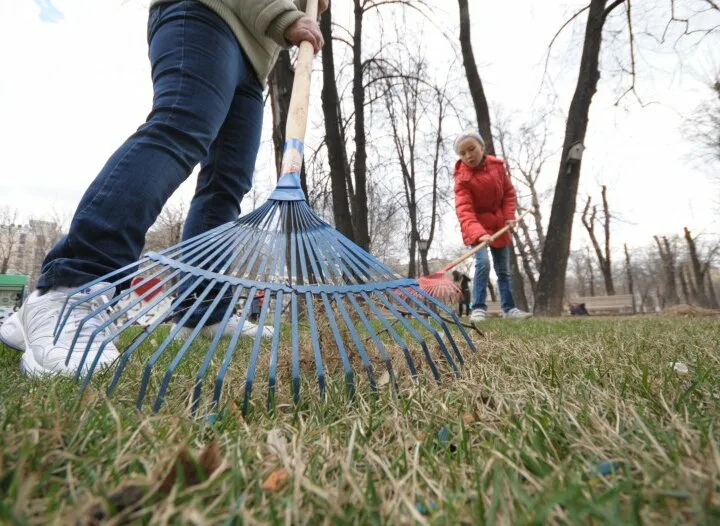 На этой неделе в Орле пройдёт первый общегородской субботник