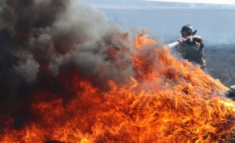Из-за сгоревшего поля под Ливнами началось расследование