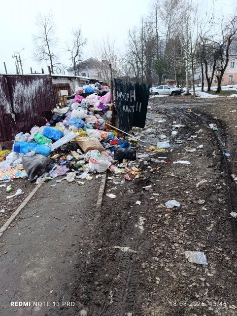 Жители улицы Дарвина в Орле обеспокоены разрастающейся горой мусора, которая скрыла под собой пешеходную дорожку