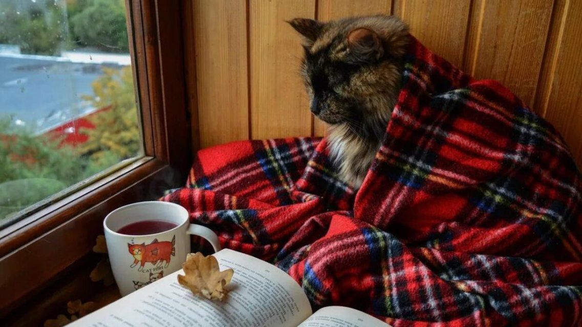 Советы специалиста: как орловчанам не поддаваться хандре осенью