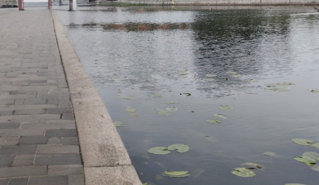 К «Троицким хороводам» в Орле почистят реку