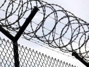 В области под амнистию попали 898 человек