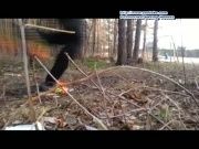 ProСпорт выпуск 8