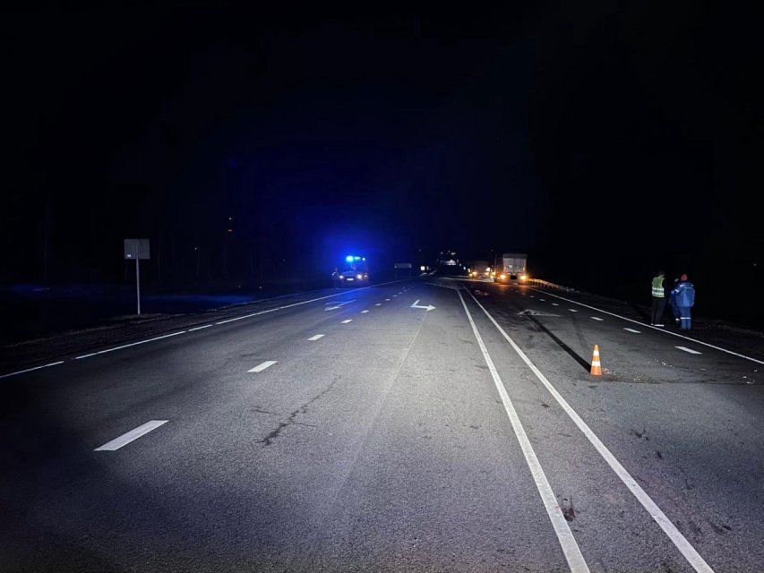Пешеход погиб на темной трассе в Орловской области