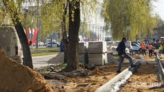 Прокуратура нашла нарушения при сносе деревьев на ул. Комсомольской в Орле