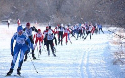 В 71 регионе страны прошла всероссийская массовая гонка "Лыжня России"