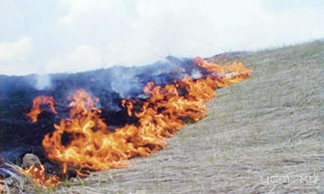 На выходных сухая трава горела в трех районах Орловской области