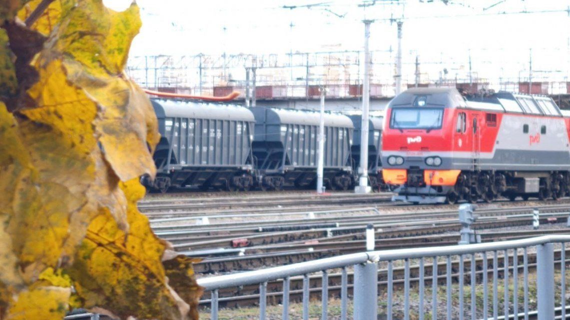 Погрузка жмыхов на железной дороге в Орловской области выросла на 23% в январе-октябре