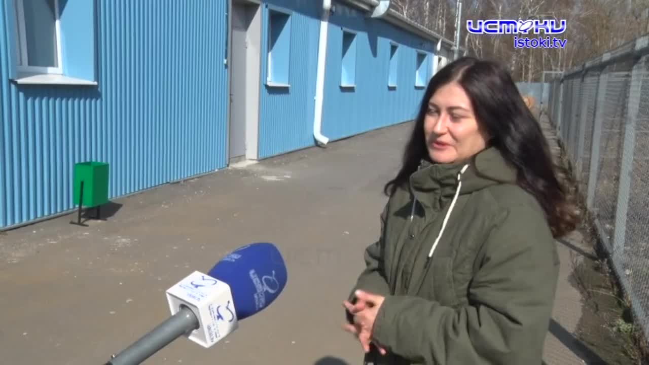 Посещение приюта для животных