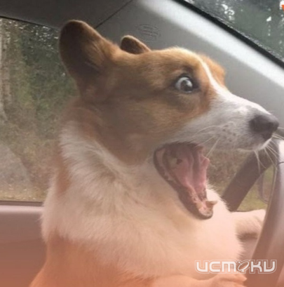 В Орле на месяц ограничат движение по ул. Героев Пожарных в районе пересечения с ул. Картукова