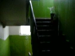 Ливень в подъезде 