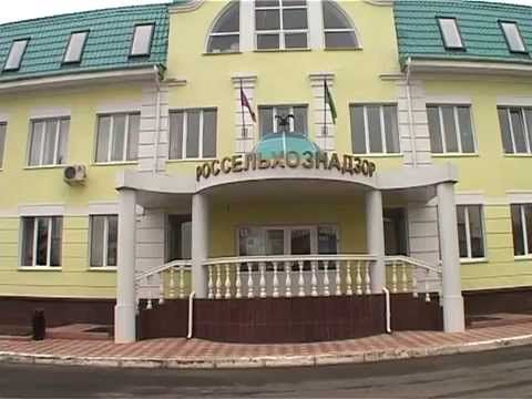 В Орловской области пять участков сельхозземли заросли сорняками