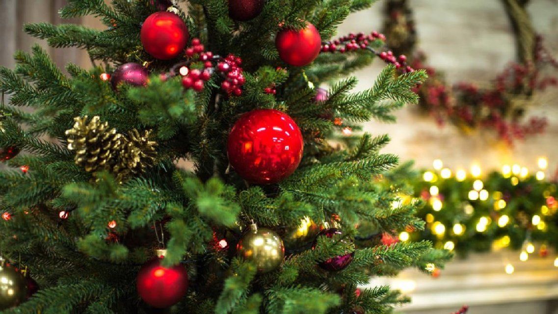 Советы орловчанам: куда деть елку после новогодних праздников