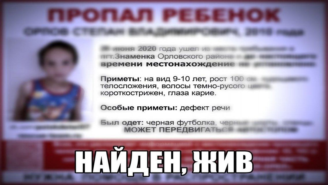 Братья-беглецы найдены в лесу: как под Орлом искали пропавших детей 