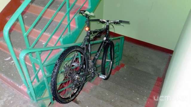 Под Орлом подростки украли велосипед, не дождавшись автобуса