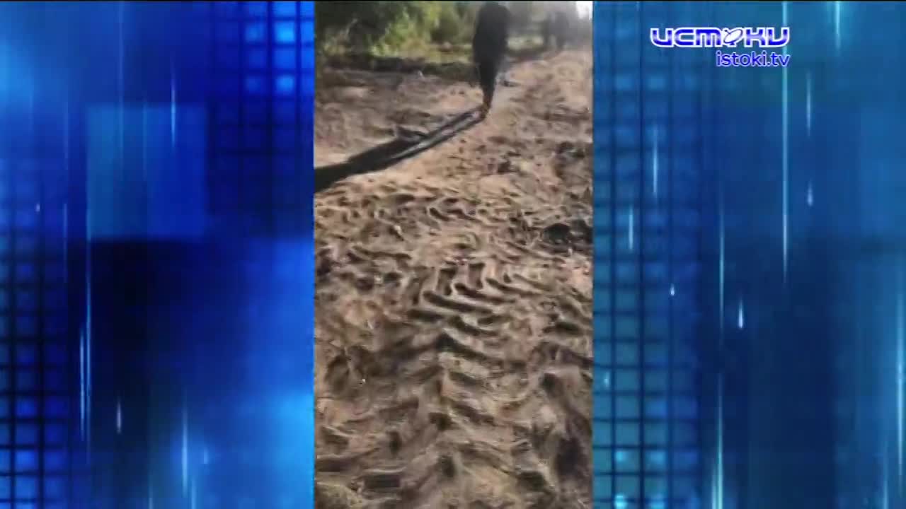 Губернатор передумал подключать обещанный вай-фай в школах