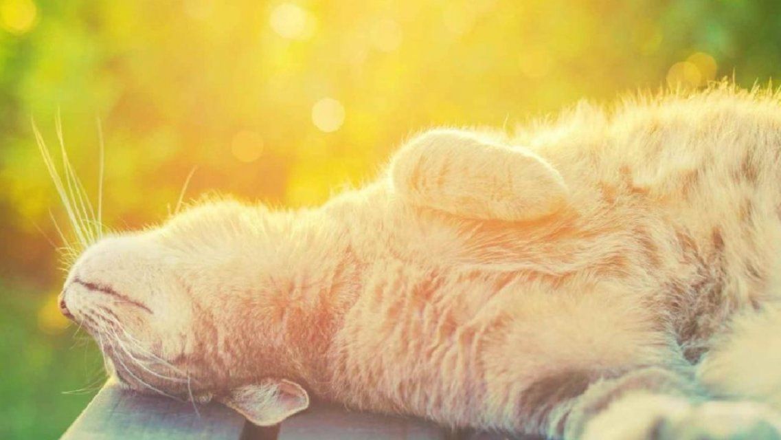 Солнечно и сухо: погода в Орле на 21 апреля