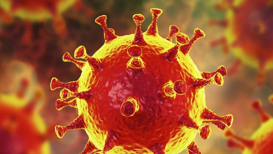 Коронавирус на Орловщину привезли из северной столицы