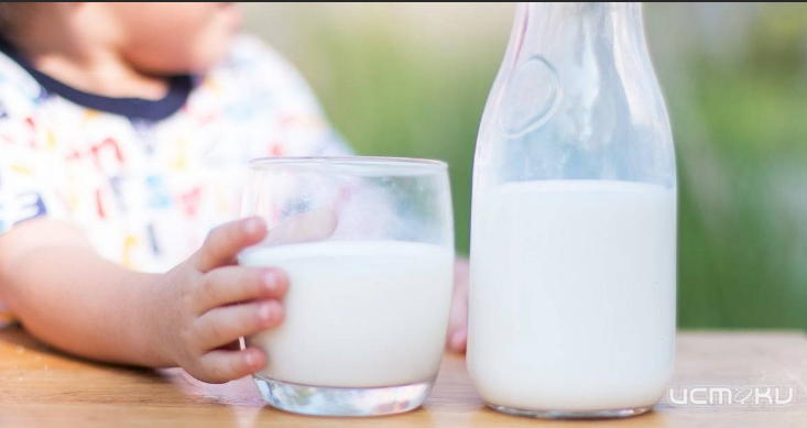 В Орле в детсаду нашли молоко с антибиотиком