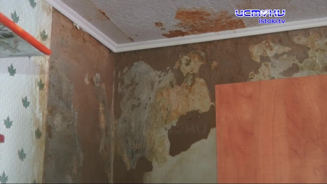 Райские условия, но не для людей, а для плесени. Залитый подвал и дырявая крыша встретили нашу съемочную группу в доме на улице Веселая