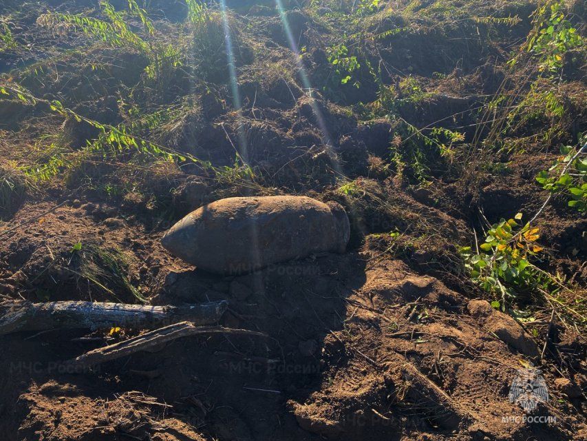 В Болховском районе обнаружили 32 взрывоопасных предмета