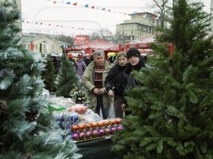 Елочные базары начнут работать уже с 15 декабря