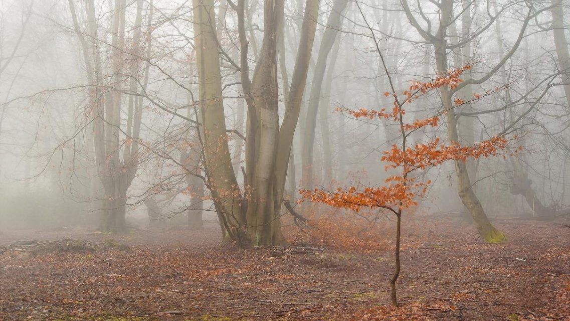 На Орел надвигается мощный антициклон