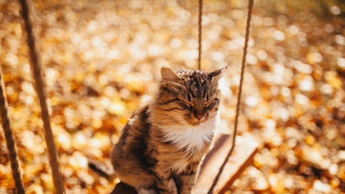 В среду в Орле будет по-летнему жарко