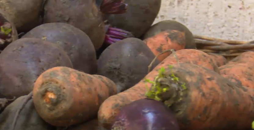 В Орловской области подешевели яйца, а морковь и свекла прибавили в цене