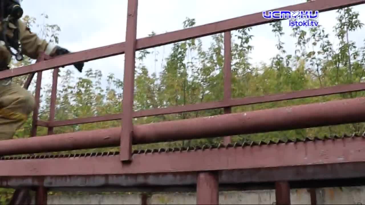 Скорость, сила и характер