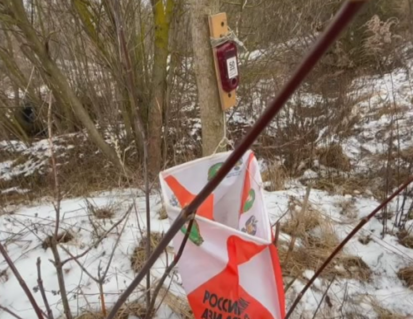 Дед Мороз сегодня наградит лучших на традиционных стартах в Медведевском лесу