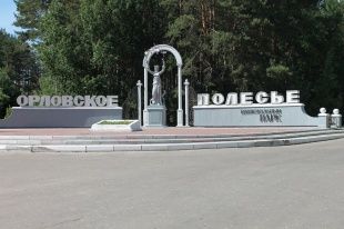 По факту незаконной вырубки деревьев в "Орловском полесье" будет возбуждено уголовное дело