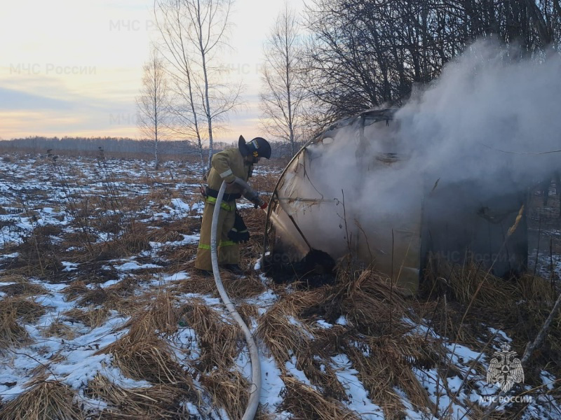 Урицкие пожарные потушили теплицу, а спасатели в Орле сняли кота с дерева 
