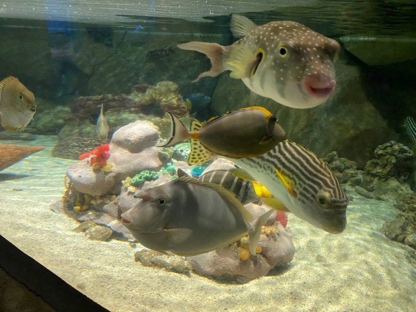 Следуй рекомендациям и твоя рыбалка пройдет безопасно!