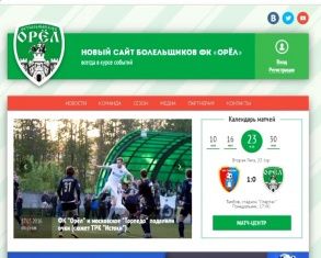 Сайту болельщиков футбольного клуба "Орёл" исполнился год 
