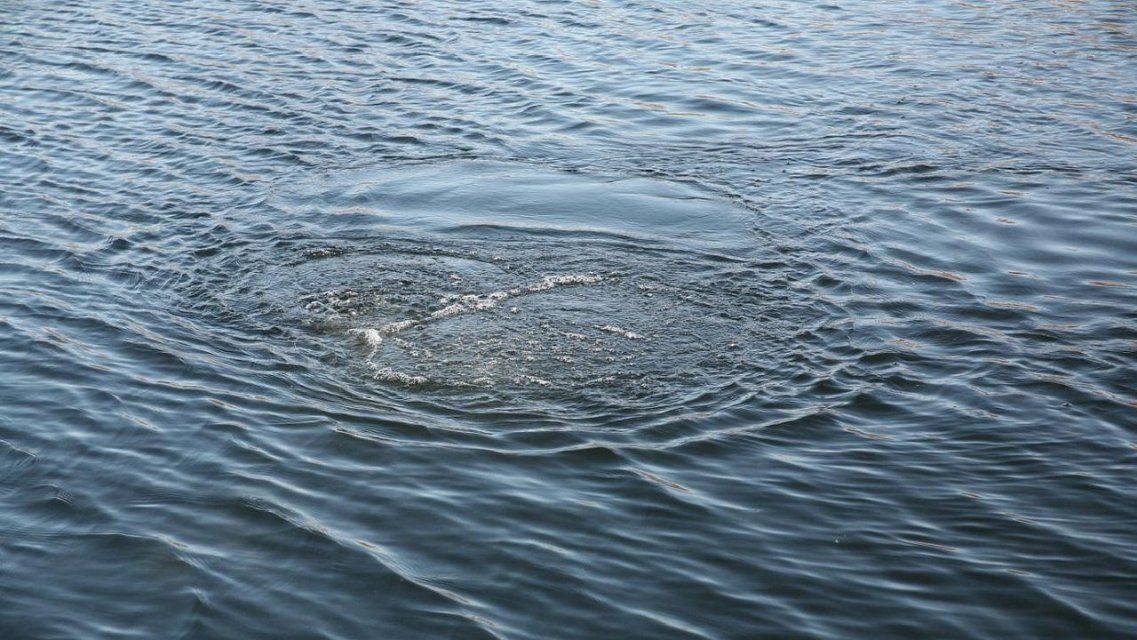 Во Мценском районе выловили из Зуши неопознанный труп