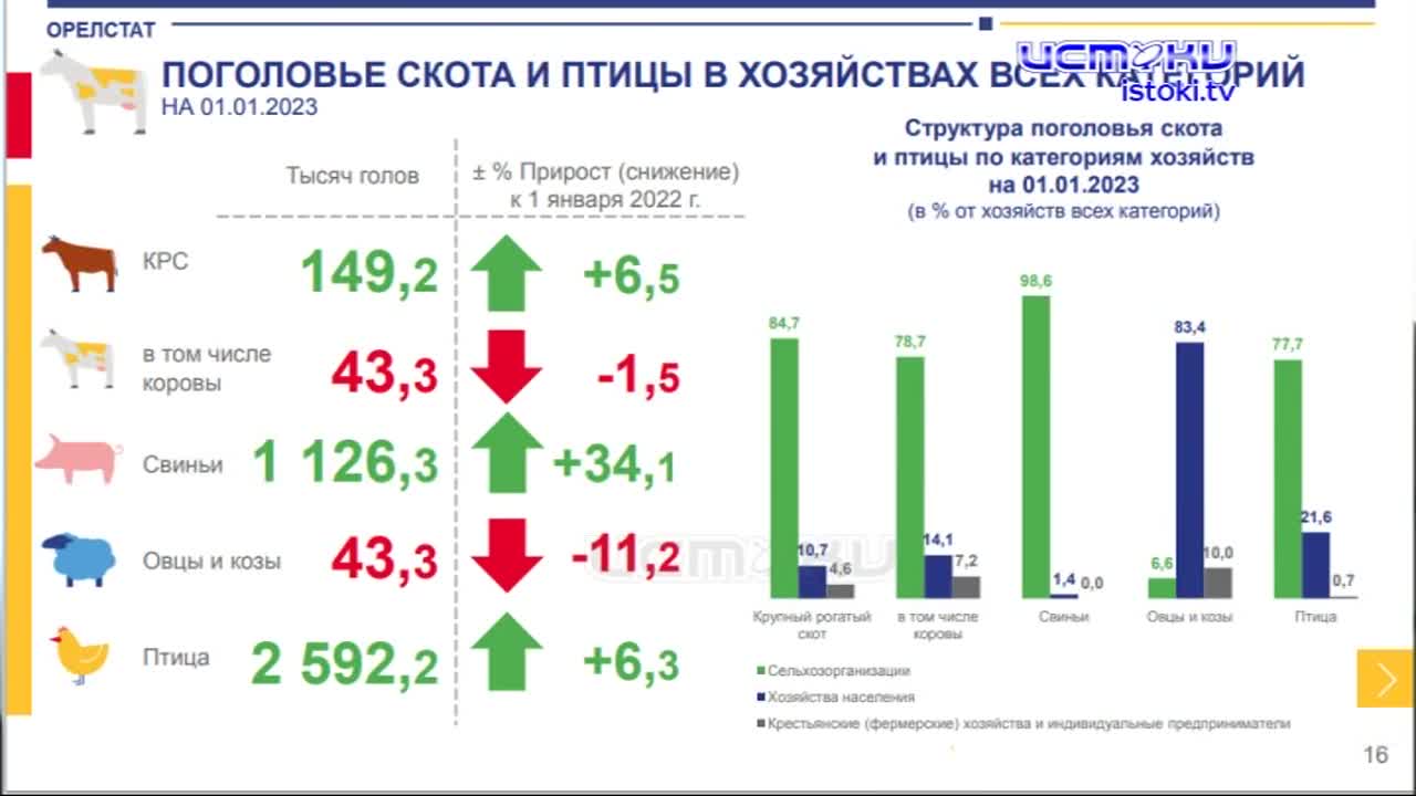 За чашкой кофе говорили о вещах вполне себе серьёзных. Орёлстат пригласил журналистов, чтобы сообщить интересные сведения из жизни нашего региона