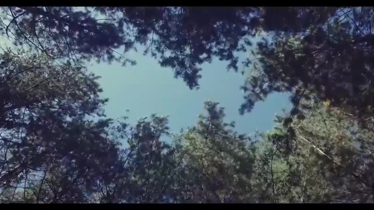 Появился тизер к новому мюзиклу театра "Свободное пространство"