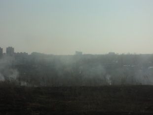 За выходные орловские спасатели семь раз выезжали на возгорание сухой травы