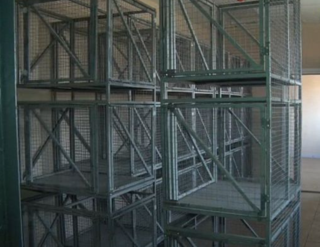 Про приют для собак упомянул мэр Орла в своем докладе о проделанной работе