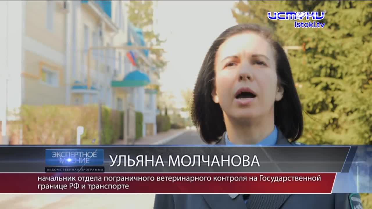 Экспертное мнение 28.04.23