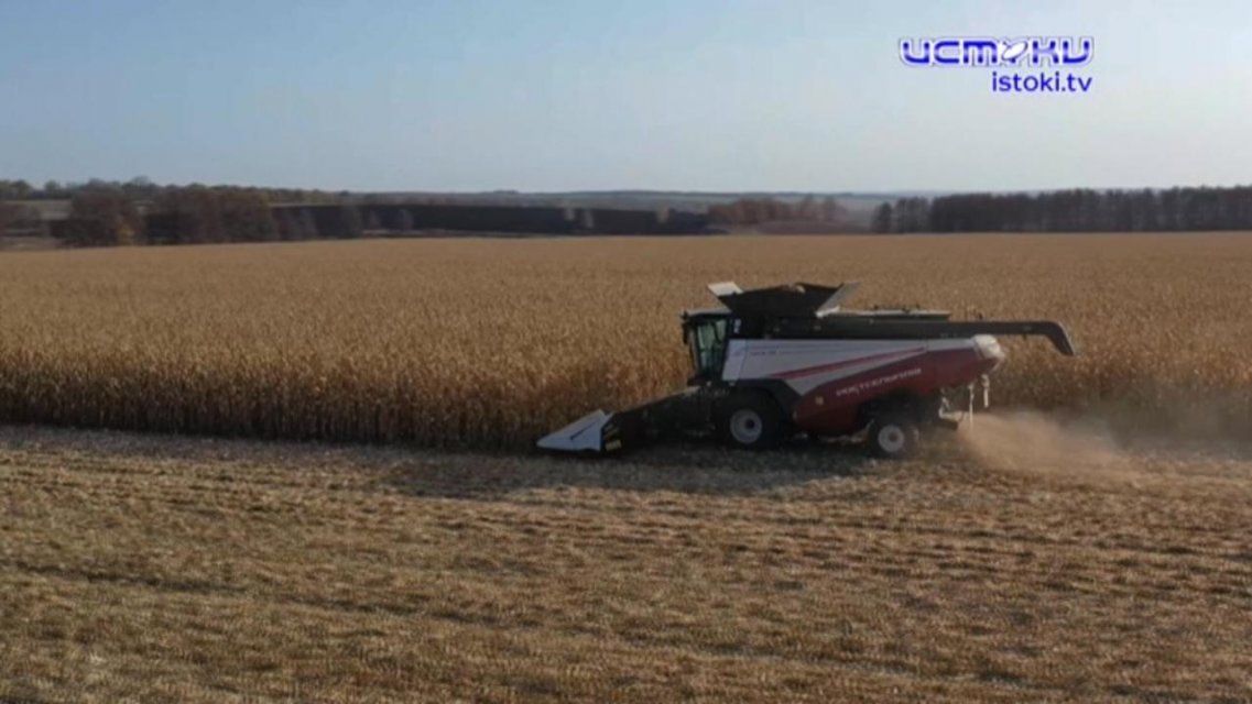 Орловские аграрии бьют рекорды: в чем секрет их успеха