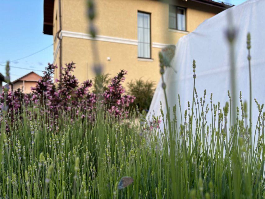  Орловчане рассказали, о каком жилье мечтают 