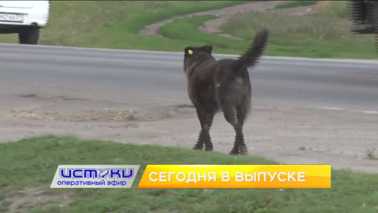 У жителей д. Никуличи скопилось много проблем, ФК «Орёл» разгромил брянских футболистов, а в Орле прозвучали звуки фанфар Победы. Об этом и не только ...