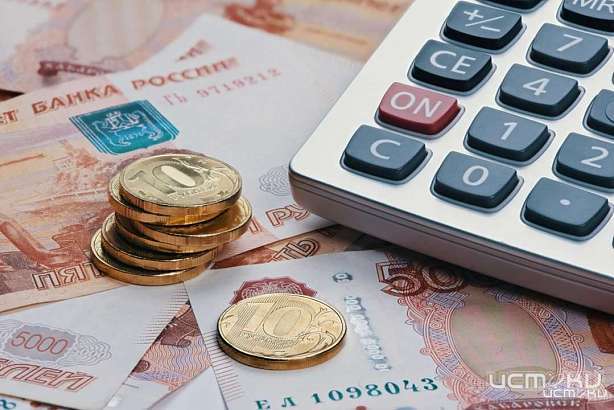 Рост доходов бюджета Орловской области оказался ниже уровня инфляции - эксперты