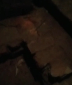 Сомнительная безопасность 