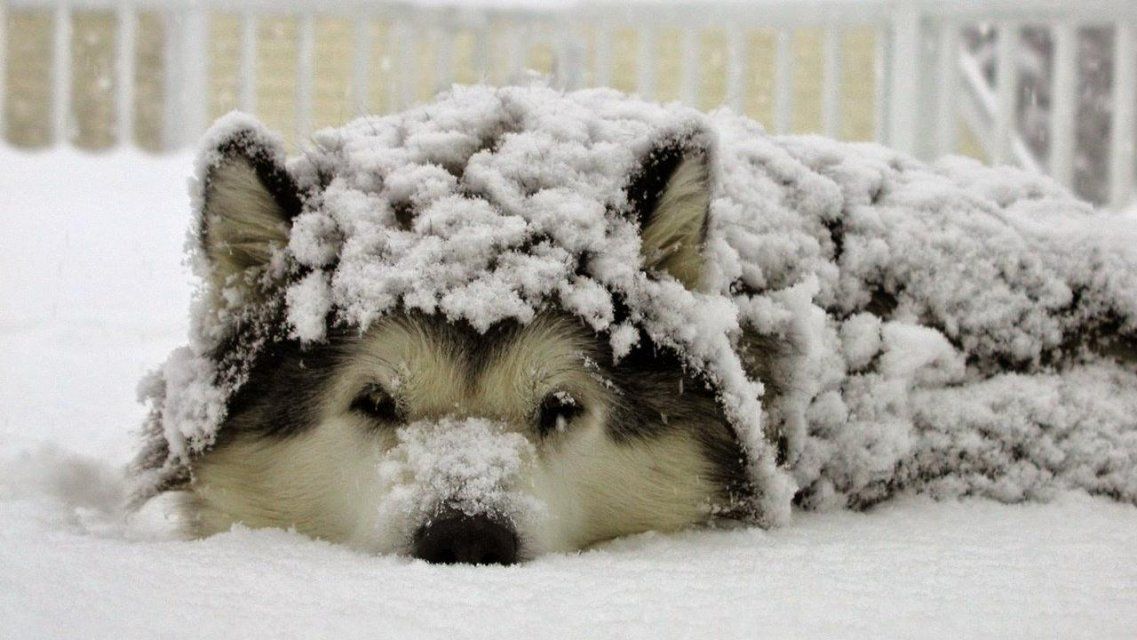 Какая погода будет в Орле 10 февраля