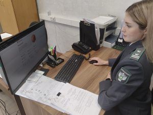 Яйца без срока давности 