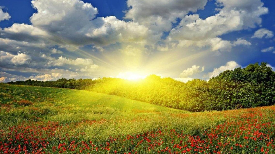 25 июня в Орле будет знойным и сухим